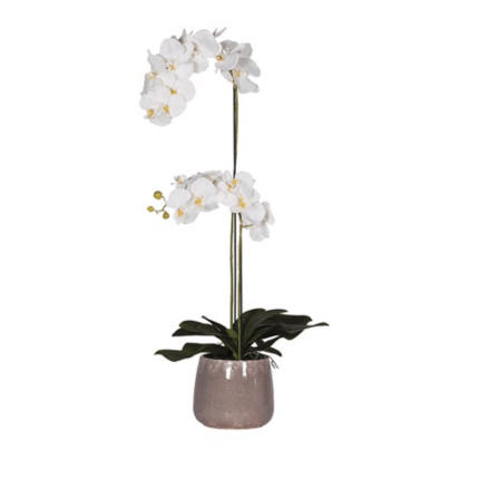 White Orchid Tall Plant in Taupe Crackle Pot