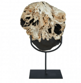 Large Petrified Wood Sculpture