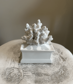 Inley Coral Box - Image 2