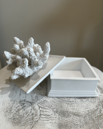 Inley Coral Box - Image 4