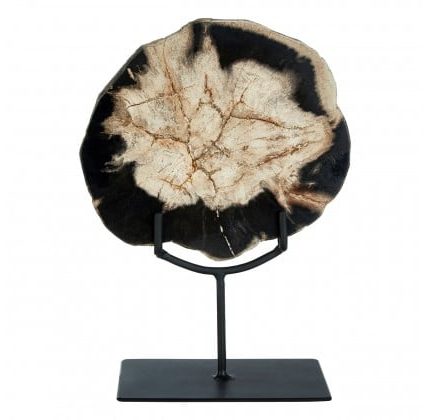 Small Petrified Wood Sculpture