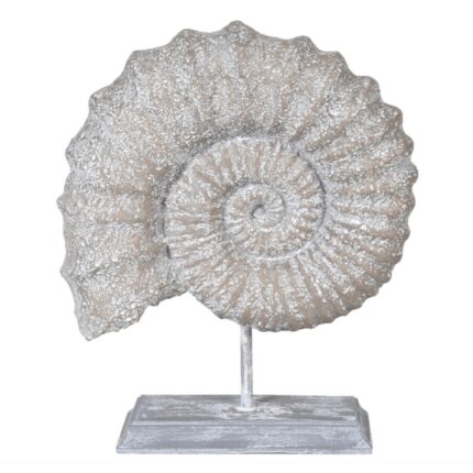 Ammonite Fossil On Stand