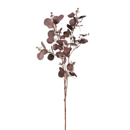 Aubergine & Berry Eucalyptus Stem
