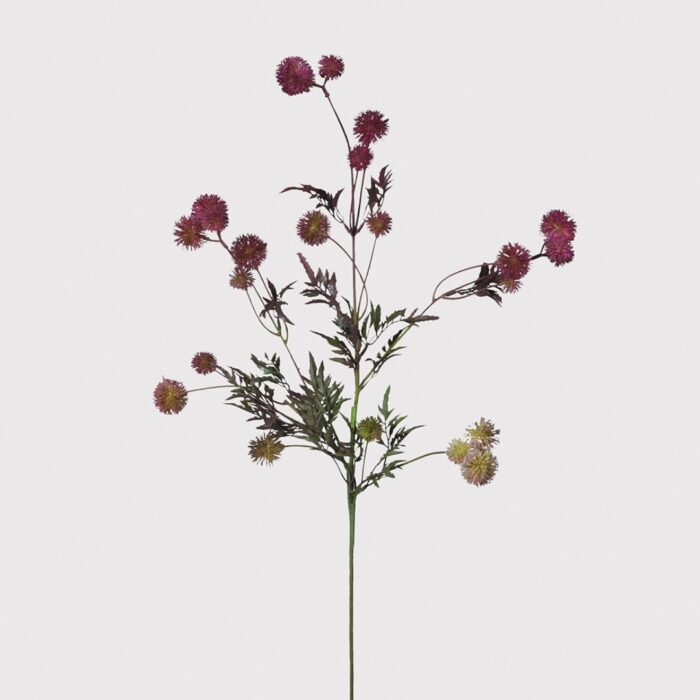 Purple Thistle Spray