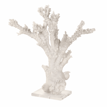 coral on stand