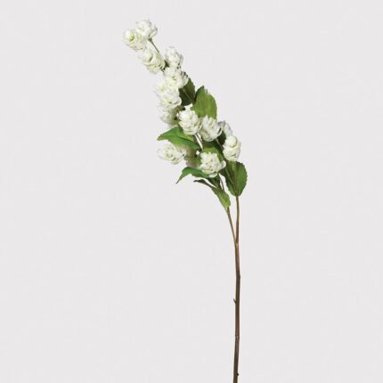 hops stem