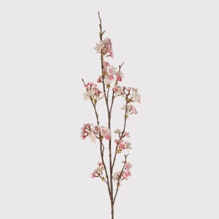 pink cherry blossom