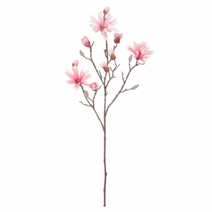 pink magnolia stem