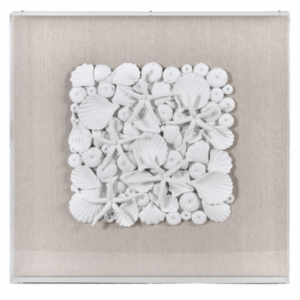 shells wall art